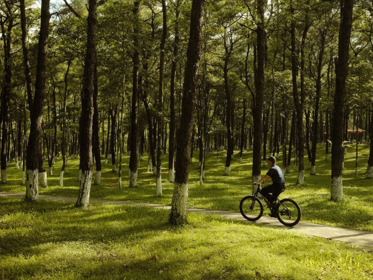Hanoi Mountain Bike Tour Ba Vi National Park 1 Day